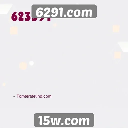 Feedback dos usuários sobre a experiência no 6291.com